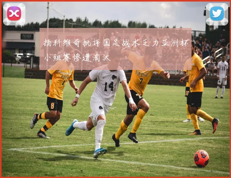 扬科维奇批评国足战术乏力亚洲杯小组赛惨遭淘汰