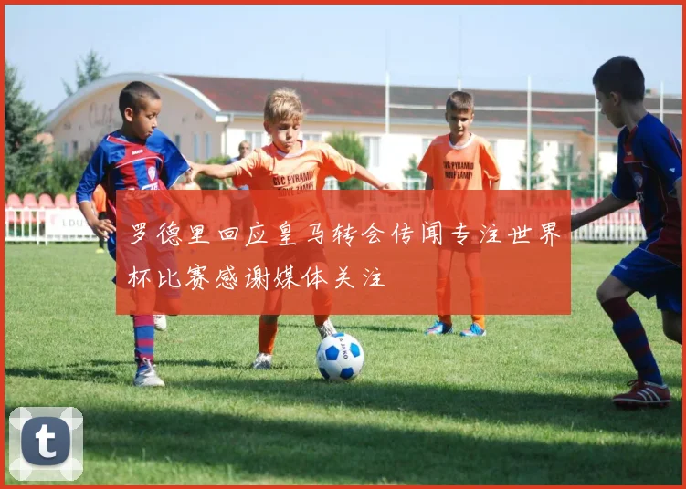 罗德里回应皇马转会传闻专注世界杯比赛感谢媒体关注