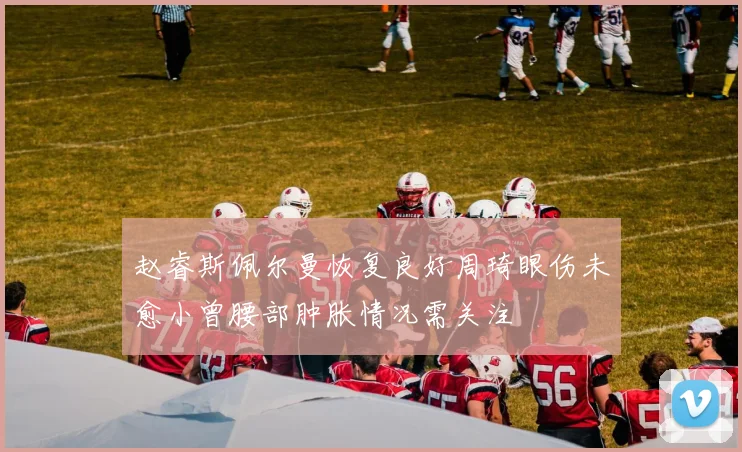 赵睿斯佩尔曼恢复良好周琦眼伤未愈小曾腰部肿胀情况需关注