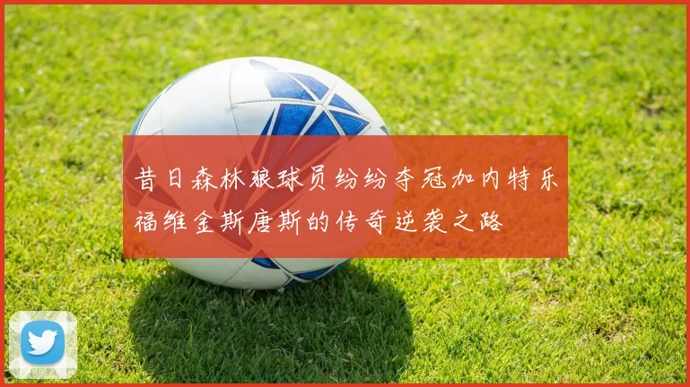 昔日森林狼球员纷纷夺冠加内特乐福维金斯唐斯的传奇逆袭之路