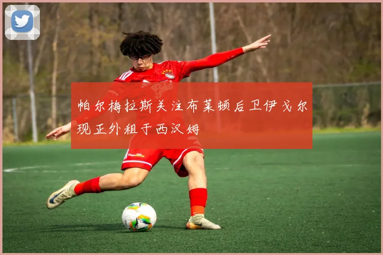 帕尔梅拉斯关注布莱顿后卫伊戈尔现正外租于西汉姆